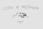 Соль и молния Издательство: Альтекс, 2006 г Мягкая обложка, 36 стр ISBN 5-93121-144-6 Тираж: 500 экз инфо 36o.